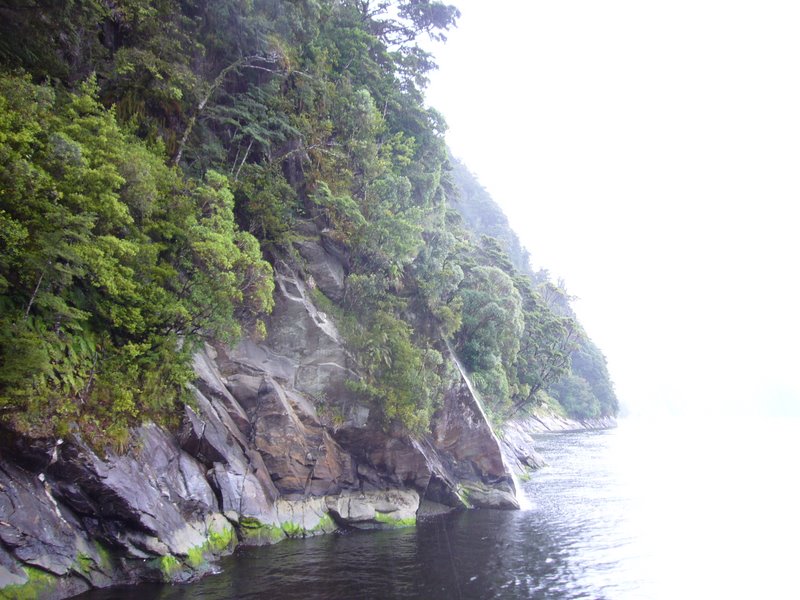 Travel - New Zealand - Milford Sounds
